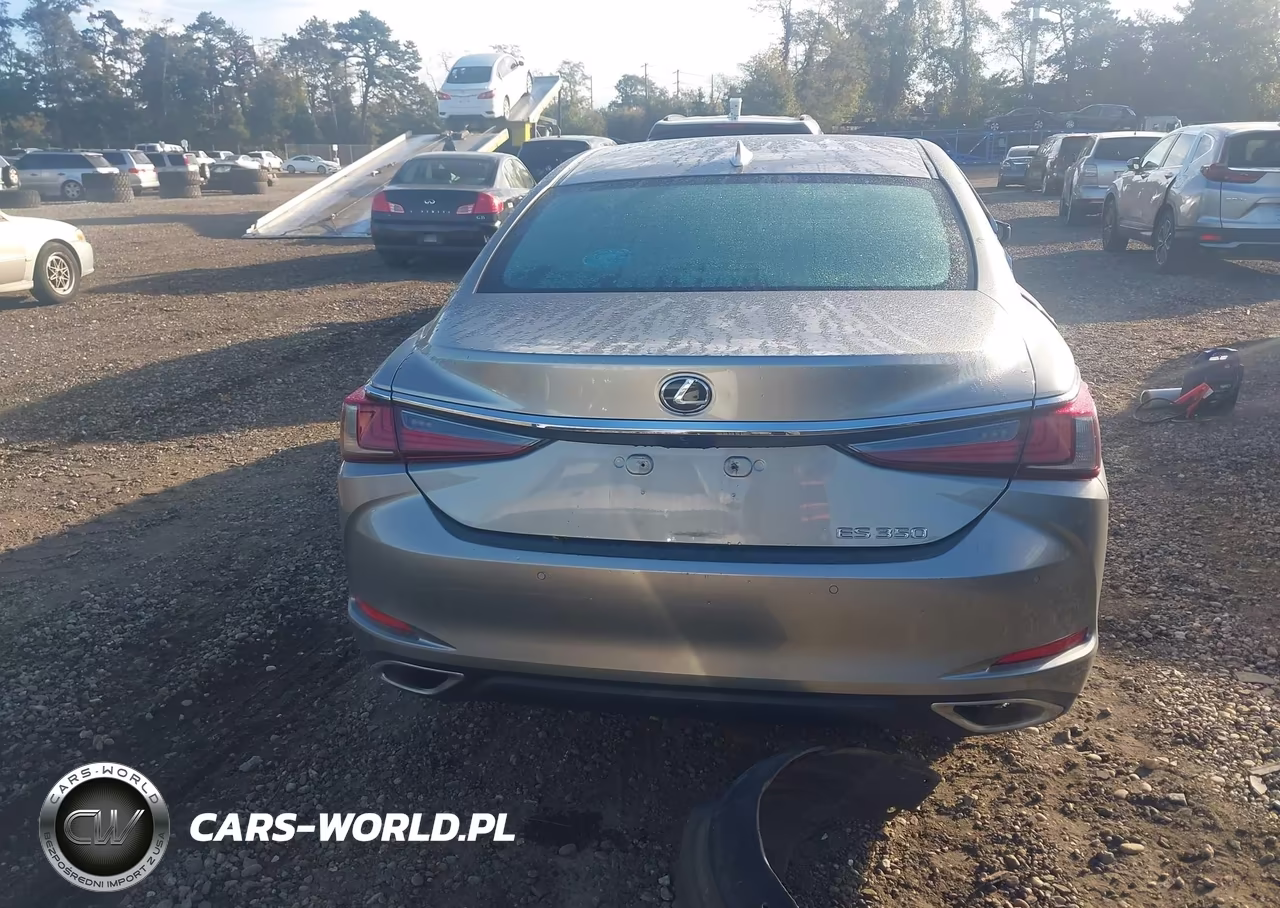 2020 Lexus Es 350 VIN:58ADZ1B13LU062142 - 17