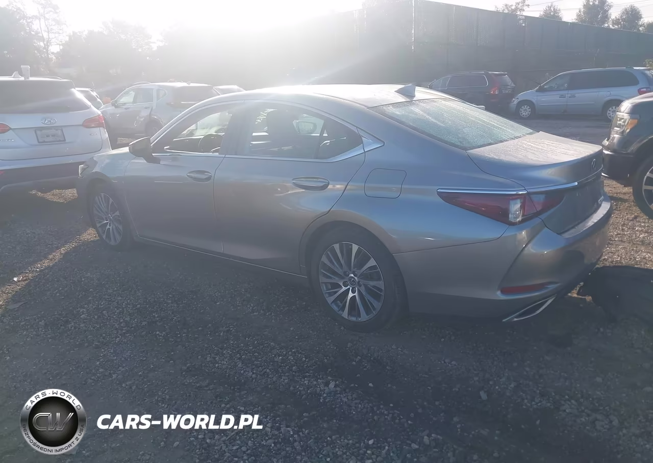 2020 Lexus Es 350 VIN:58ADZ1B13LU062142 - 3