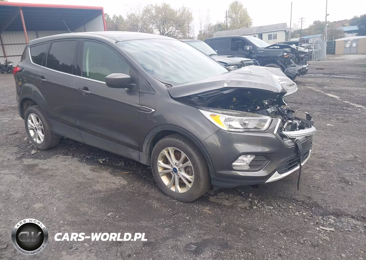2019 Ford Escape Se