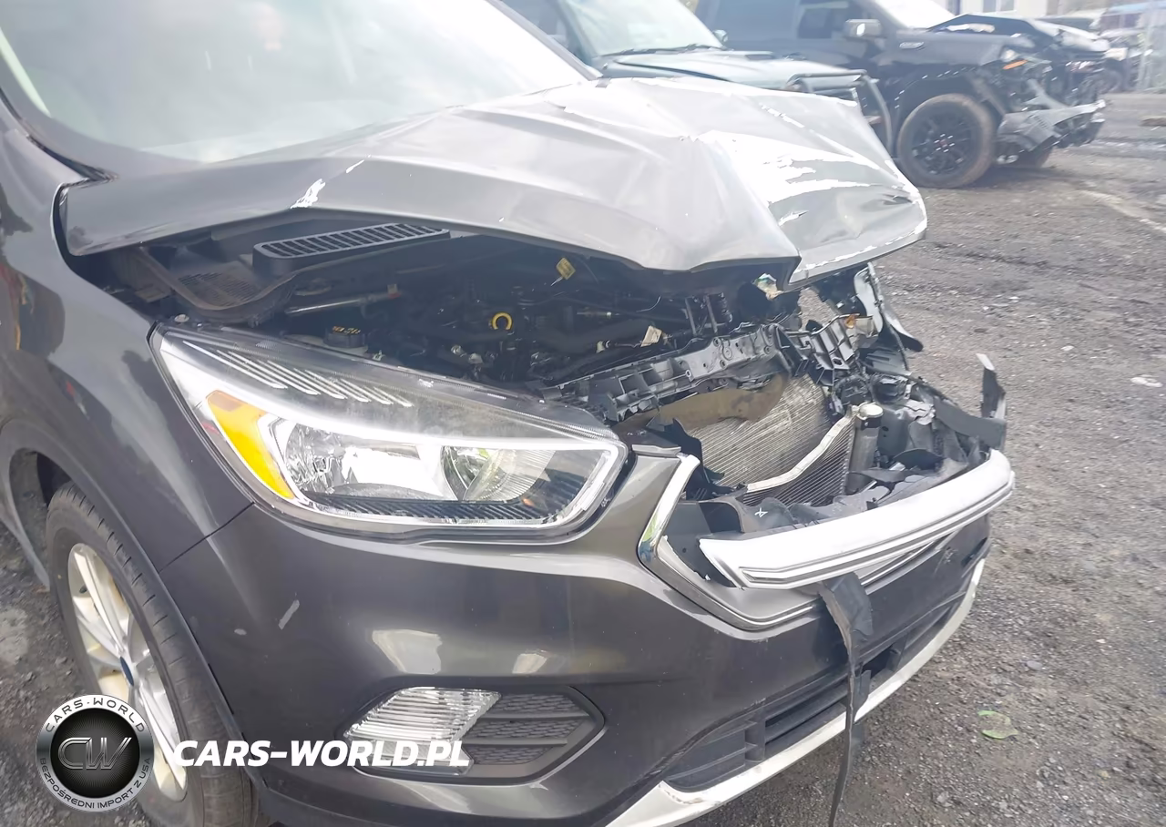 2019 Ford Escape Se VIN:1FMCU9GD7KUC09144 - 19