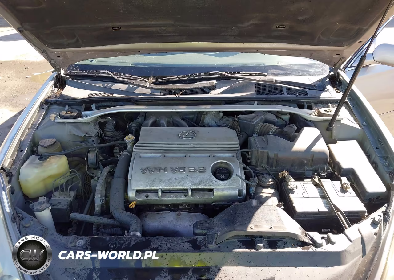 2004 Lexus Es 330 VIN:JTHBA30G745055721 - 10