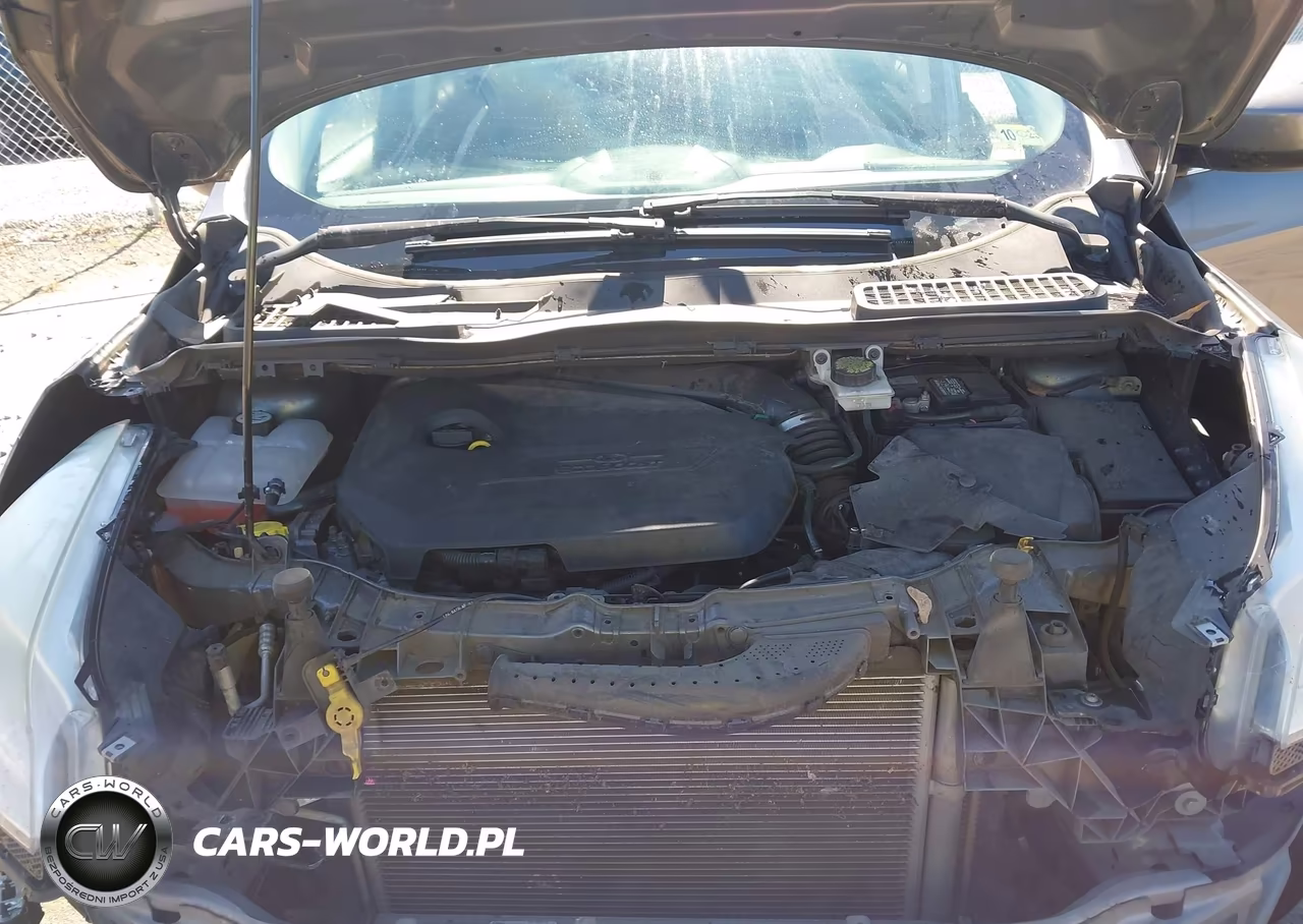 2014 Ford Escape Se VIN:1FMCU0GX6EUD76833 - 10