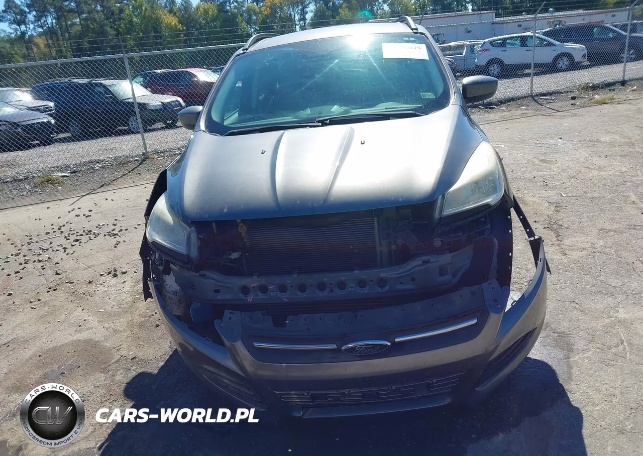 2014 Ford Escape Se VIN:1FMCU0GX6EUD76833 - 12