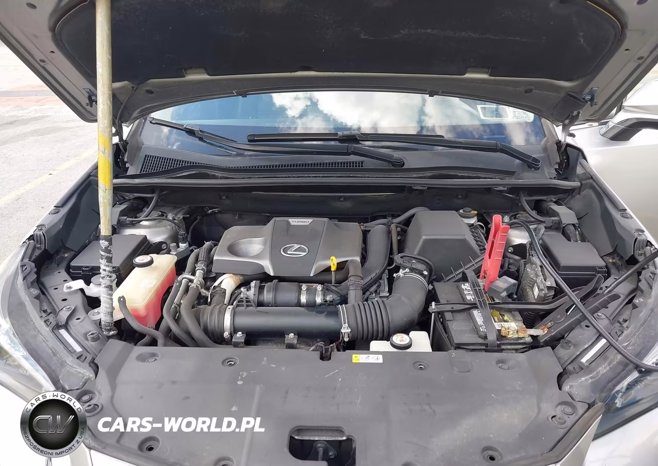 2020 Lexus Nx 300 Base VIN:JTJAARDZ8L5015977 - 10