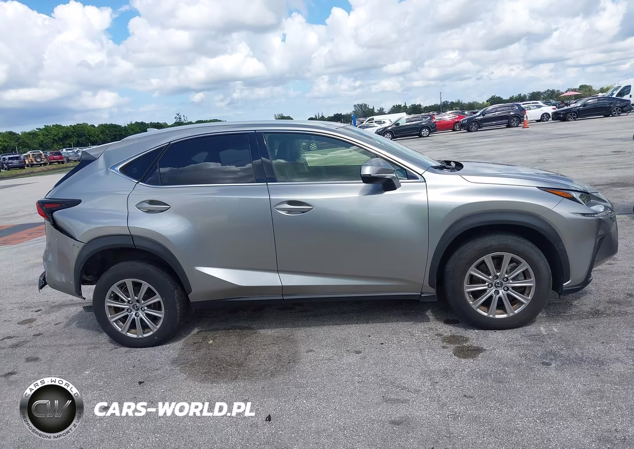 2020 Lexus Nx 300 Base VIN:JTJAARDZ8L5015977 - 13