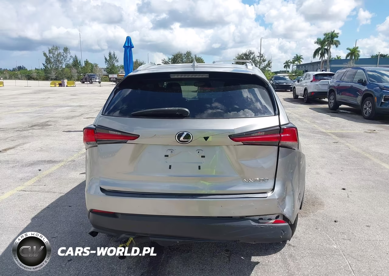 2020 Lexus Nx 300 Base VIN:JTJAARDZ8L5015977 - 16