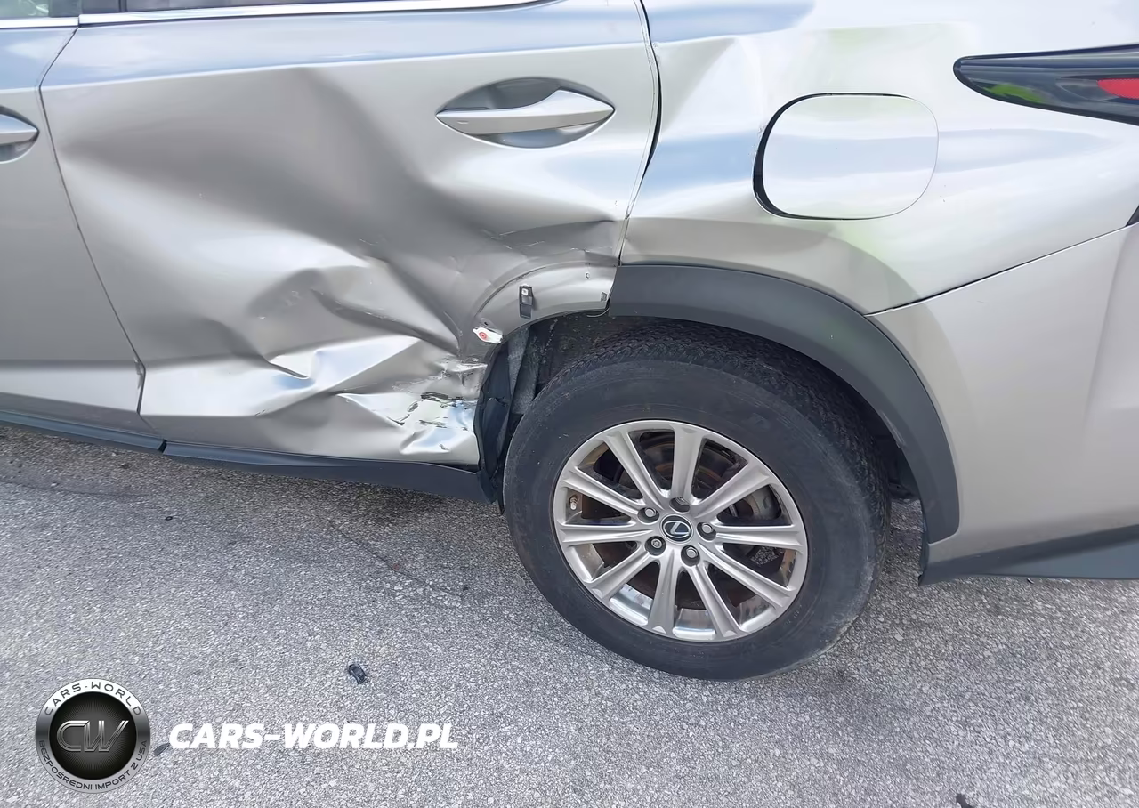 2020 Lexus Nx 300 Base VIN:JTJAARDZ8L5015977 - 17