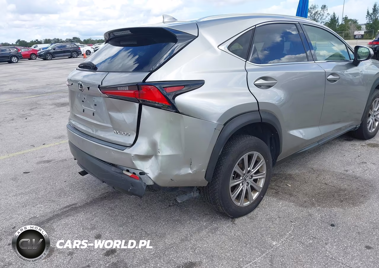 2020 Lexus Nx 300 Base VIN:JTJAARDZ8L5015977 - 19