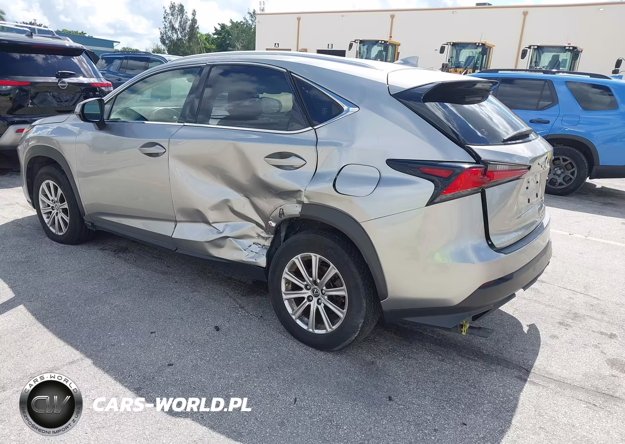 2020 Lexus Nx 300 Base VIN:JTJAARDZ8L5015977 - 3