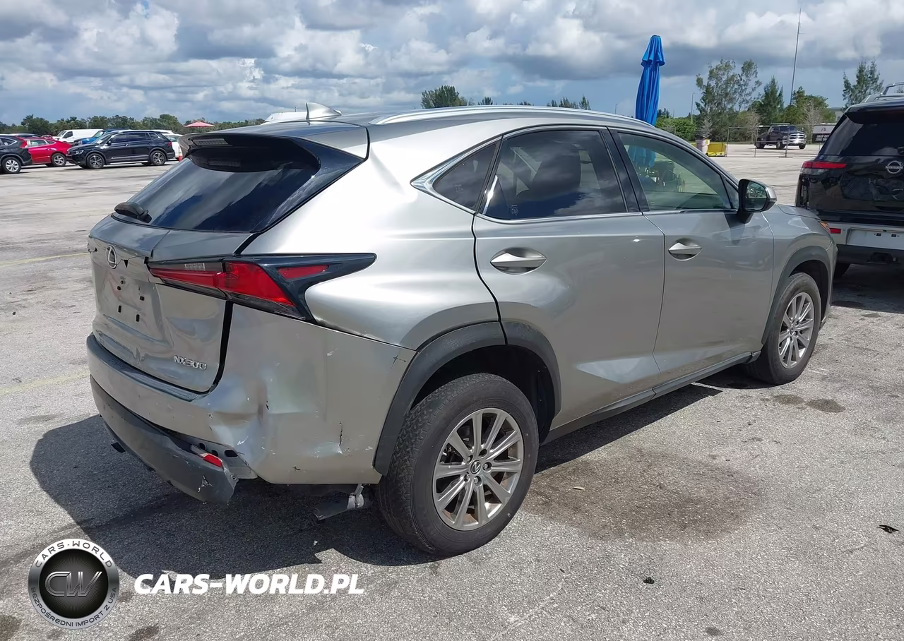 2020 Lexus Nx 300 Base VIN:JTJAARDZ8L5015977 - 4