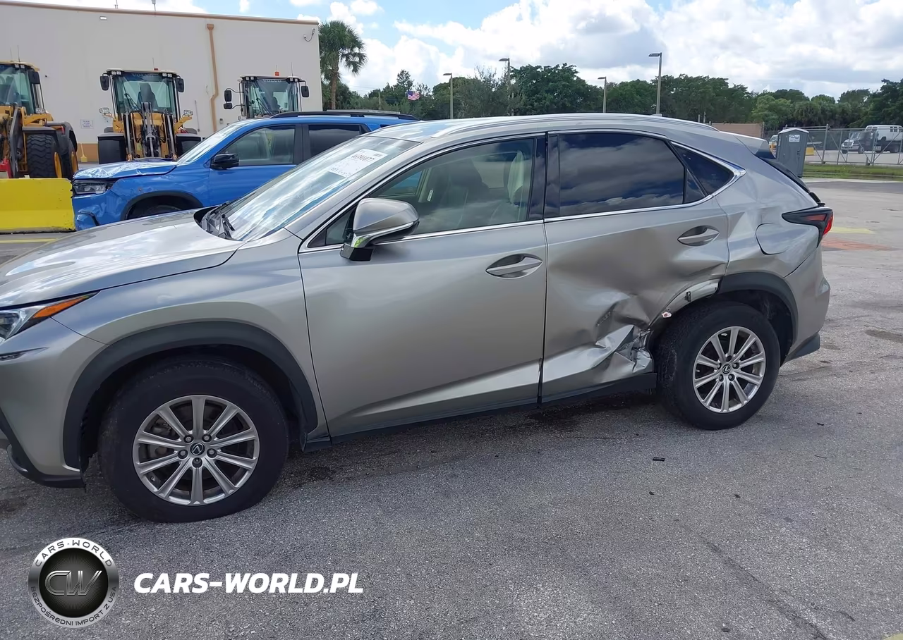 2020 Lexus Nx 300 Base VIN:JTJAARDZ8L5015977 - 6