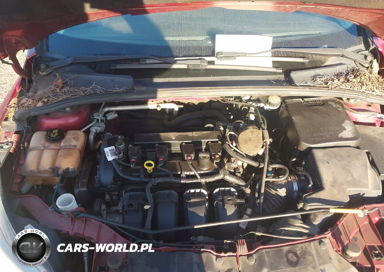 2014 Ford Focus Se VIN:1FADP3K26EL455279 - 10