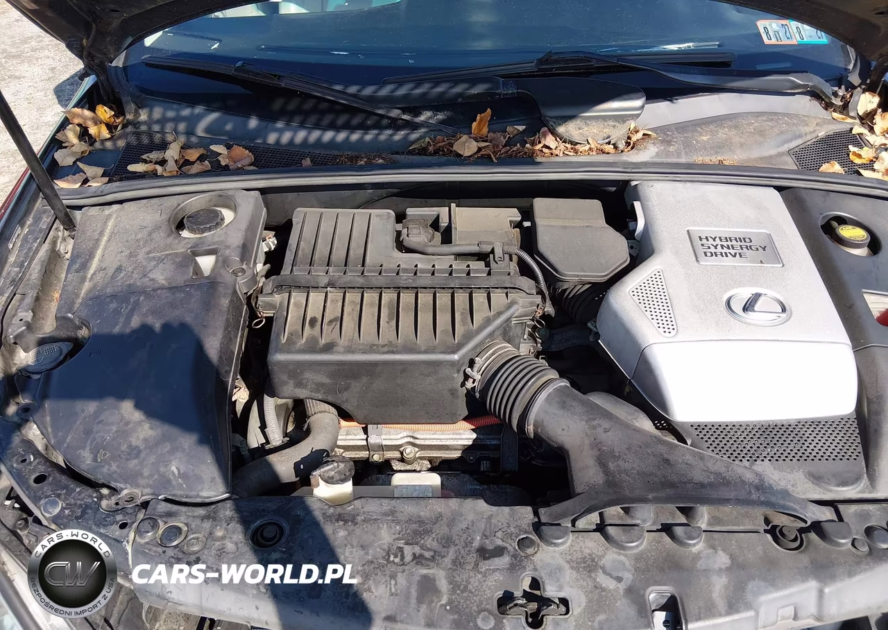 2006 Lexus Rx 400H VIN:JTJHW31U260020146 - 10