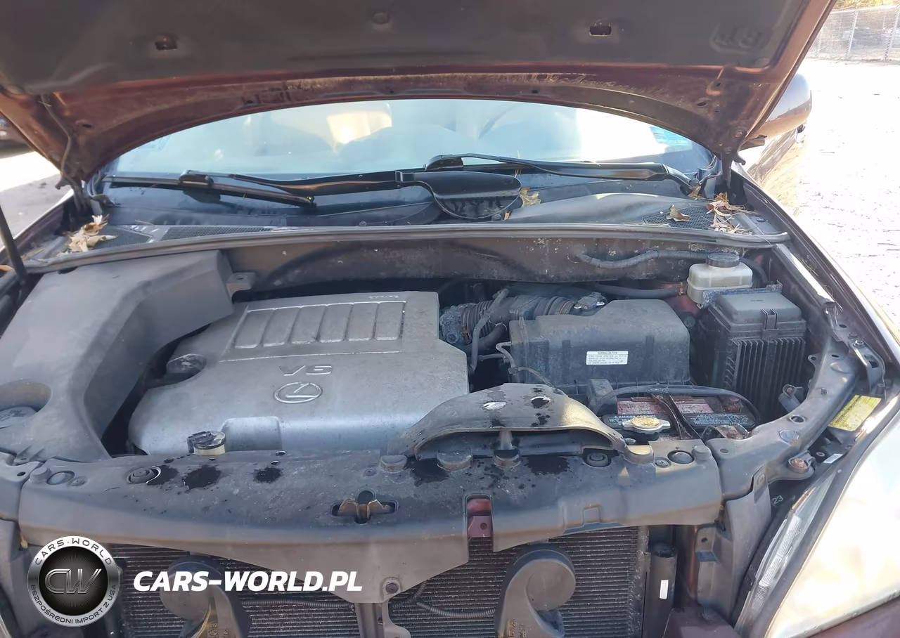 2008 Lexus Rx 350 VIN:JTJHK31UX82038395 - 10