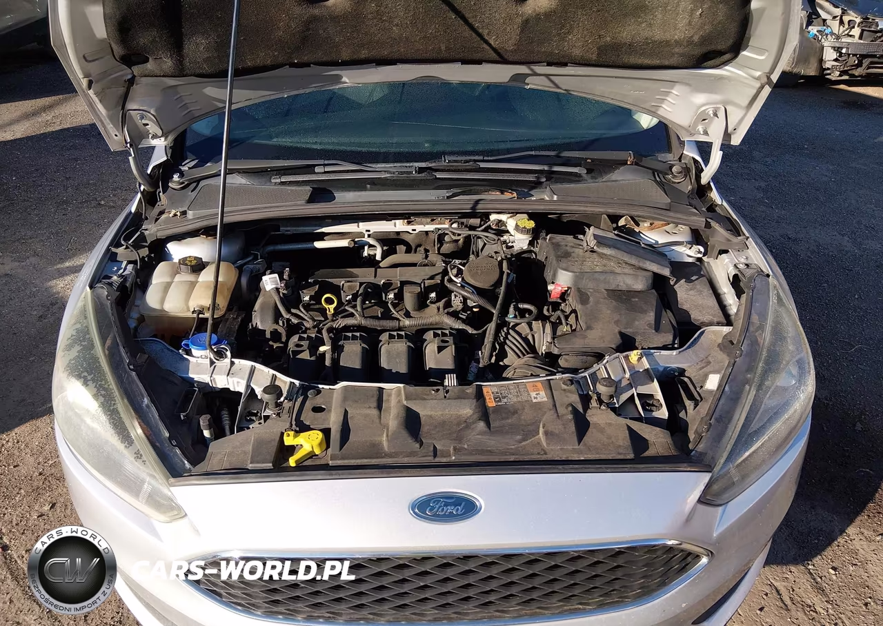 2015 Ford Focus Se VIN:1FADP3K29FL293312 - 10