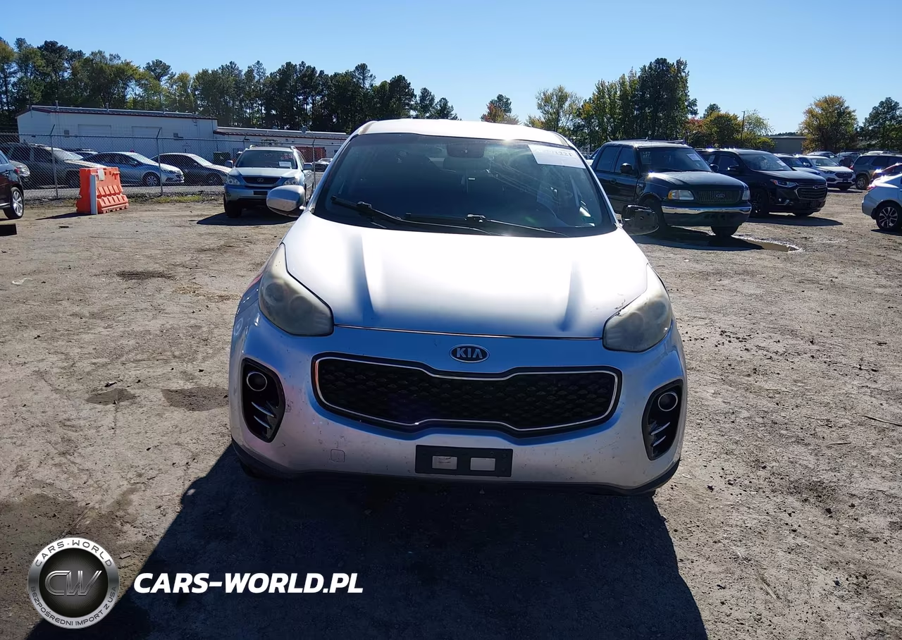 2017 Kia Sportage Lx VIN:KNDPMCAC1H7033895 - 12