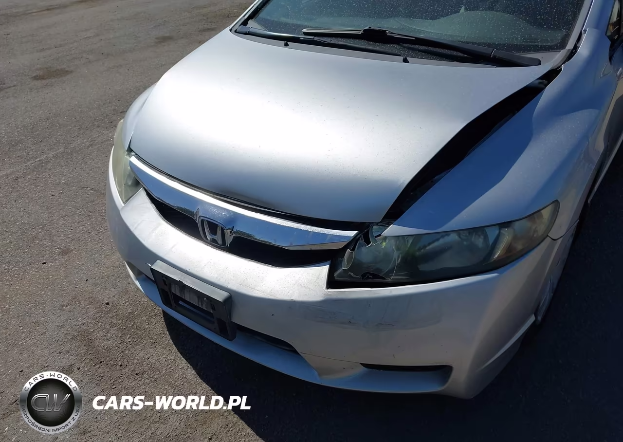 2010 Honda Civic Lx VIN:19XFA1F52AE045126 - 18