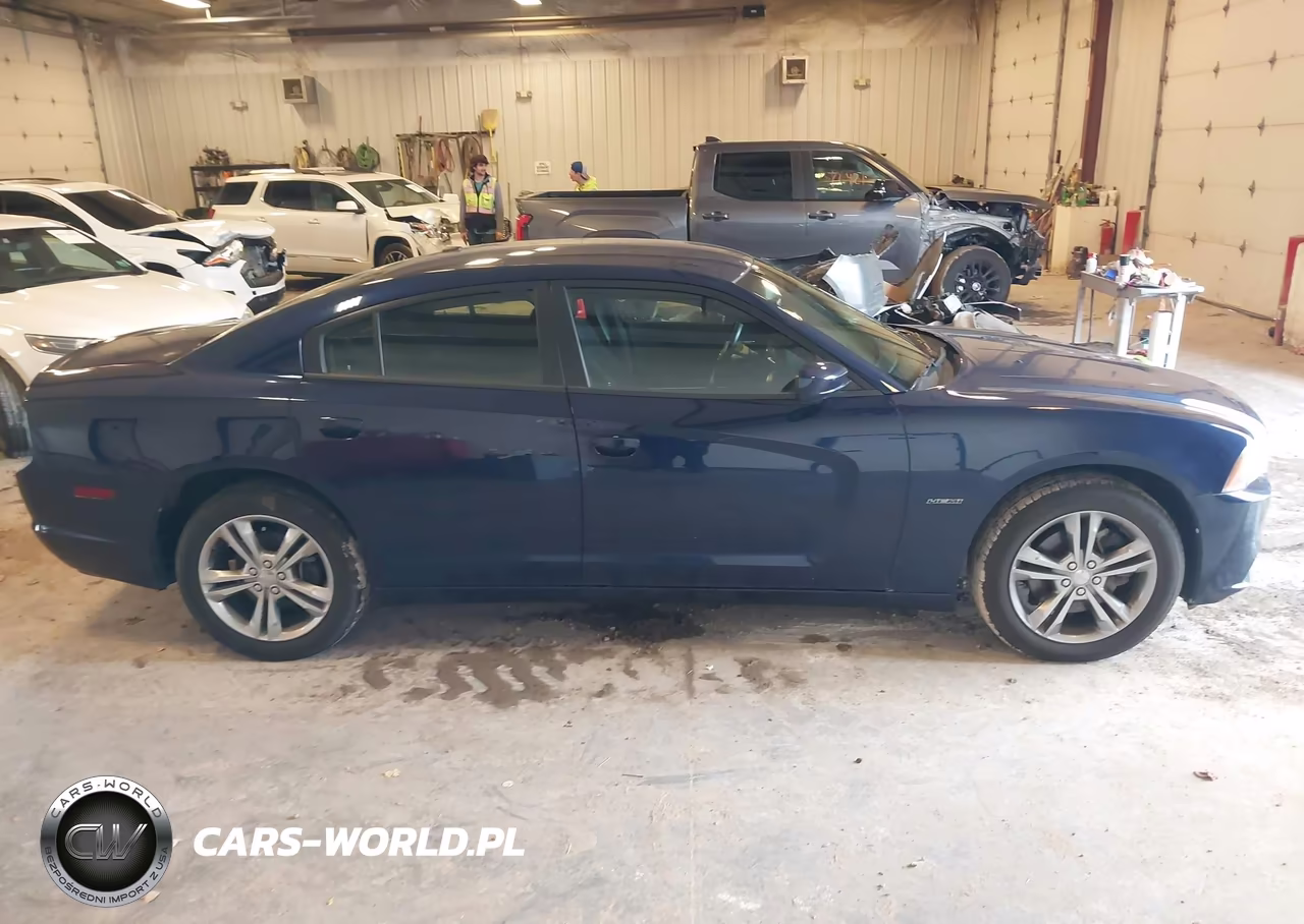 2014 Dodge Charger R-T VIN:2C3CDXDT6EH211175 - 13