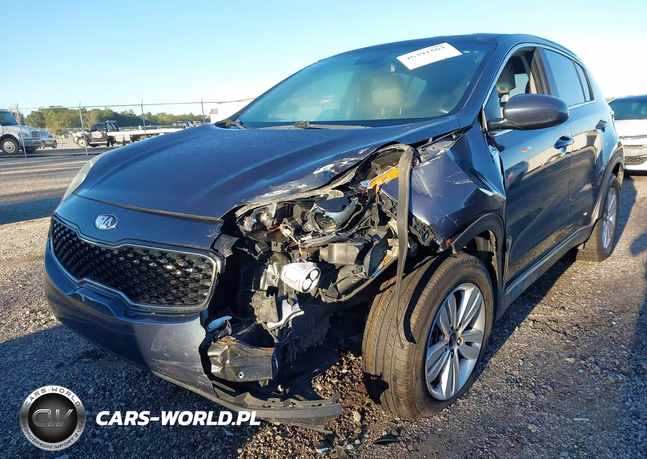 2019 Kia Sportage Lx VIN:KNDPMCAC4K7613231 - 6