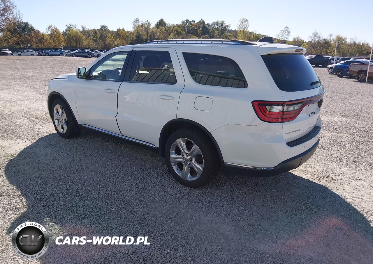 2014 Dodge Durango Limited VIN:1C4RDHDG3EC520314 - 3