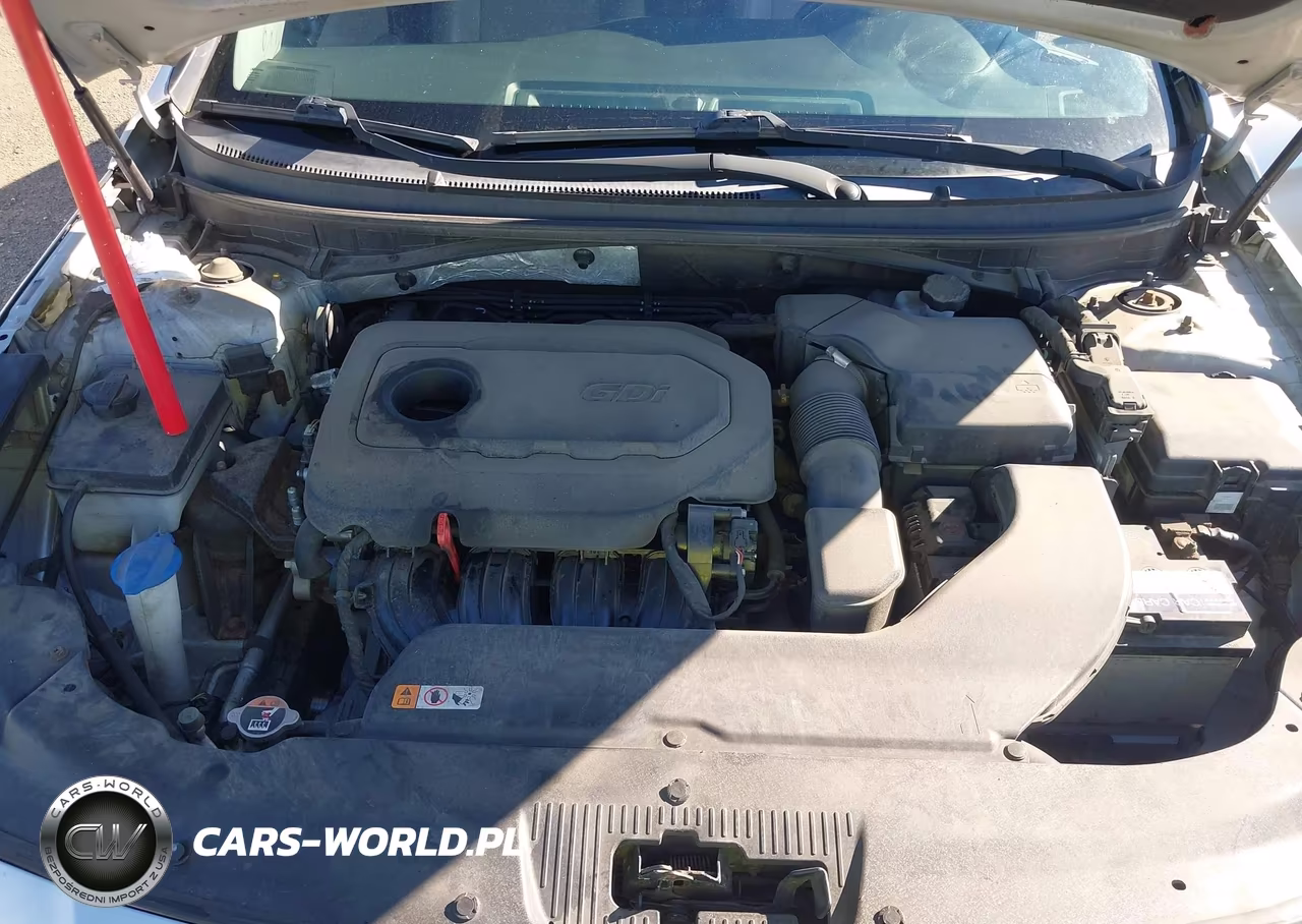 2015 Hyundai Sonata Sport VIN:5NPE34AF0FH202243 - 10