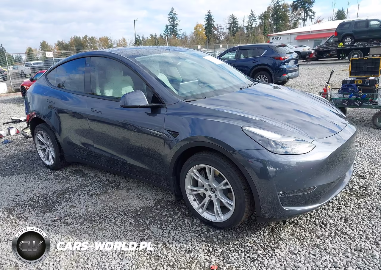 2022 Tesla Model Y Long Range Dual Motor All-Wheel Drive
