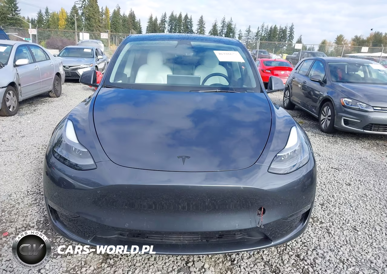 2022 Tesla Model Y Long Range Dual Motor All-Wheel Drive VIN:7SAYGDEE7NF546820 - 13