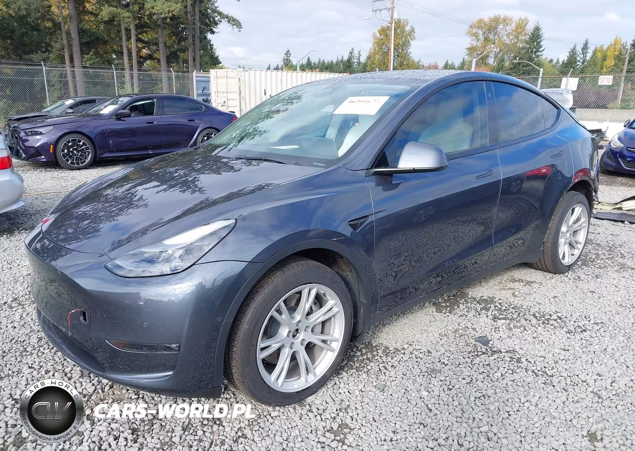 2022 Tesla Model Y Long Range Dual Motor All-Wheel Drive VIN:7SAYGDEE7NF546820 - 2