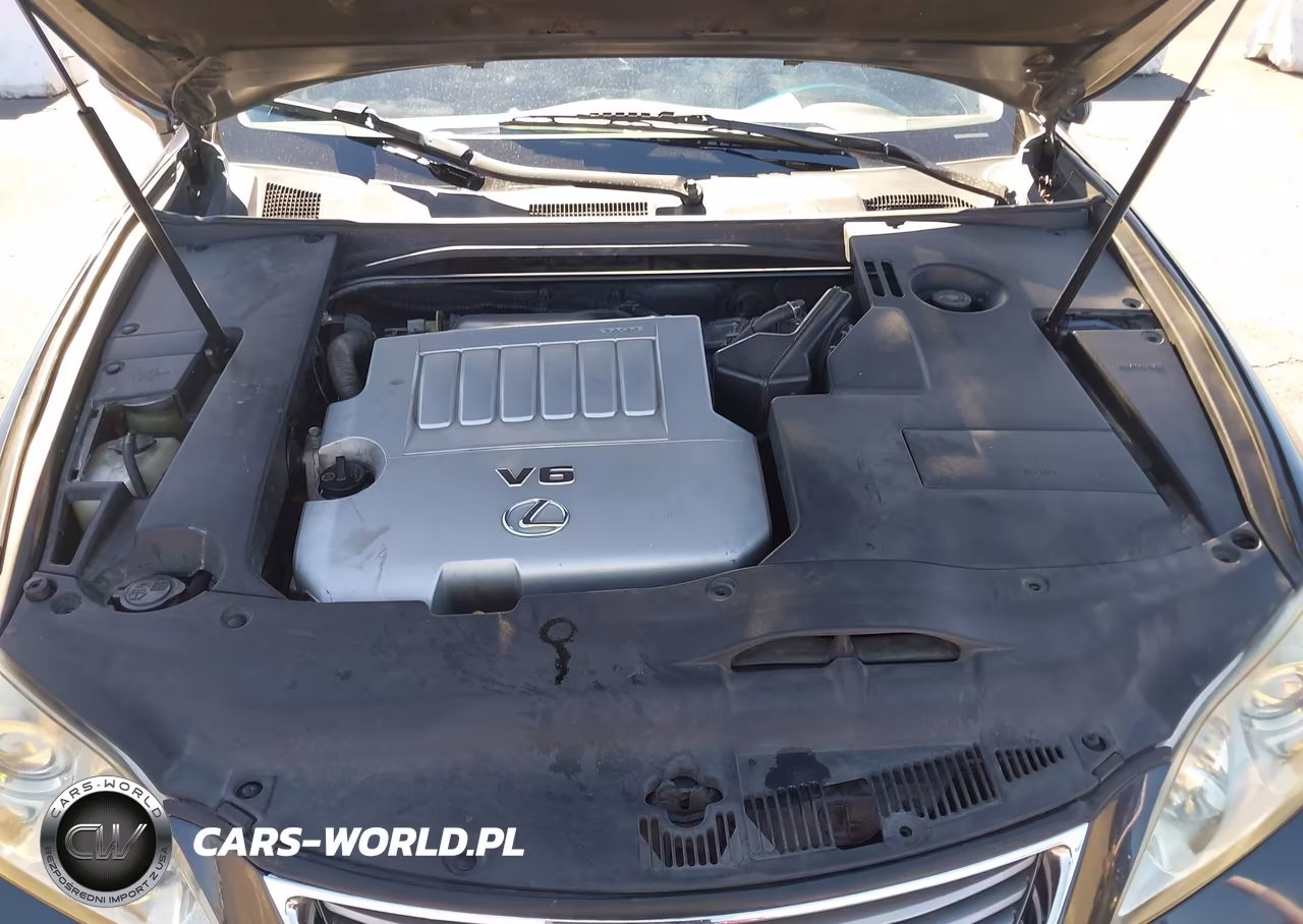 2009 Lexus Es 350 VIN:JTHBJ46G692302524 - 10