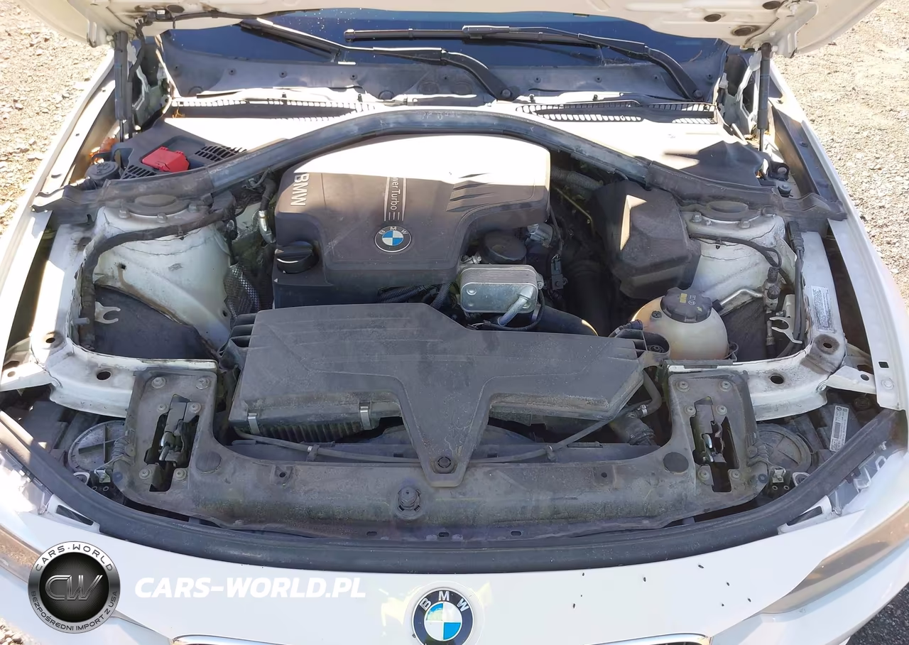 2015 BMW 320I xDrive VIN:WBA3C3G57FNS76191 - 10