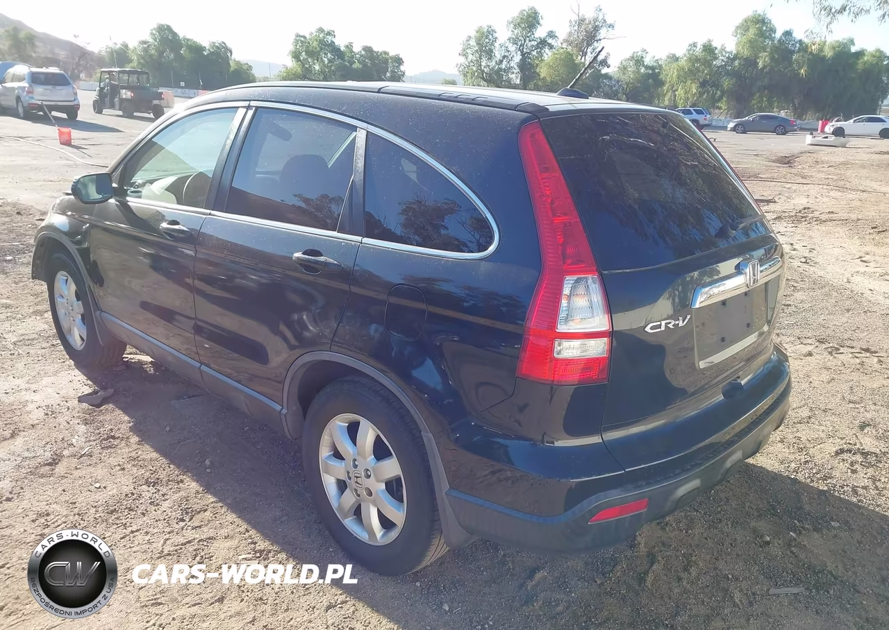 2009 Honda Cr-V Ex-L VIN:JHLRE38769C003768 - 3