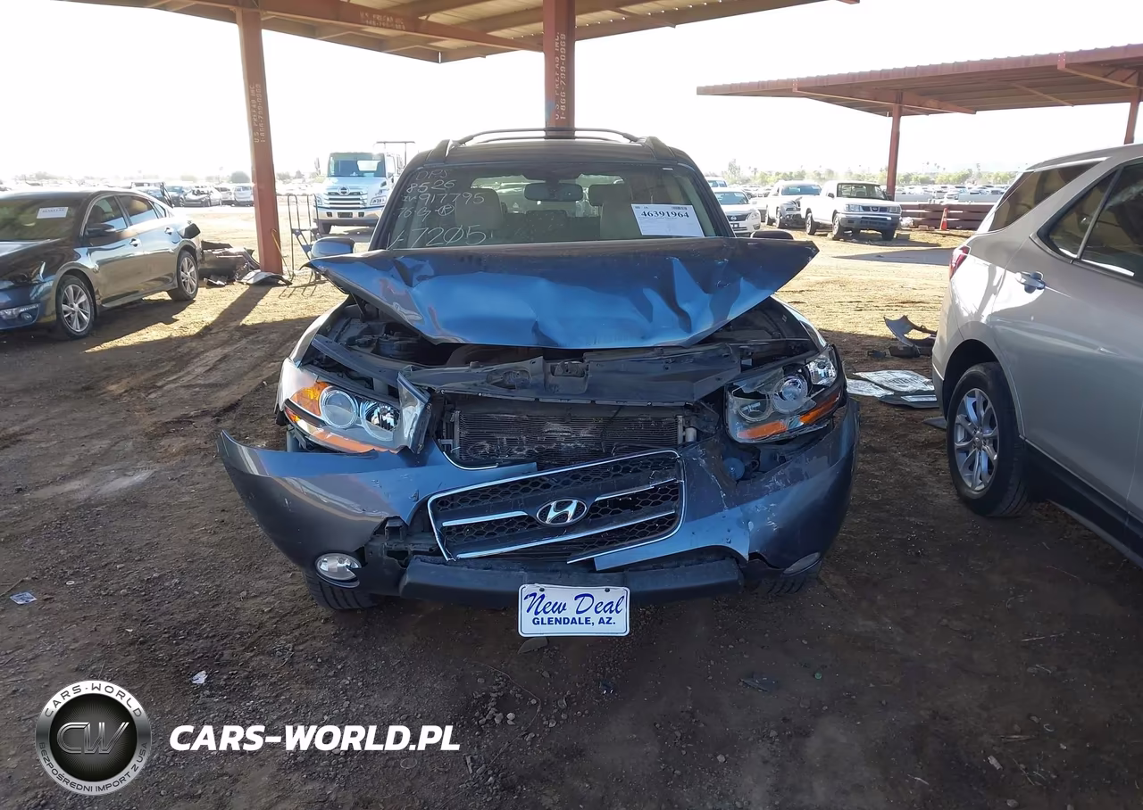 2009 Hyundai Santa Fe Limited VIN:5NMSH73E49H267205 - 6