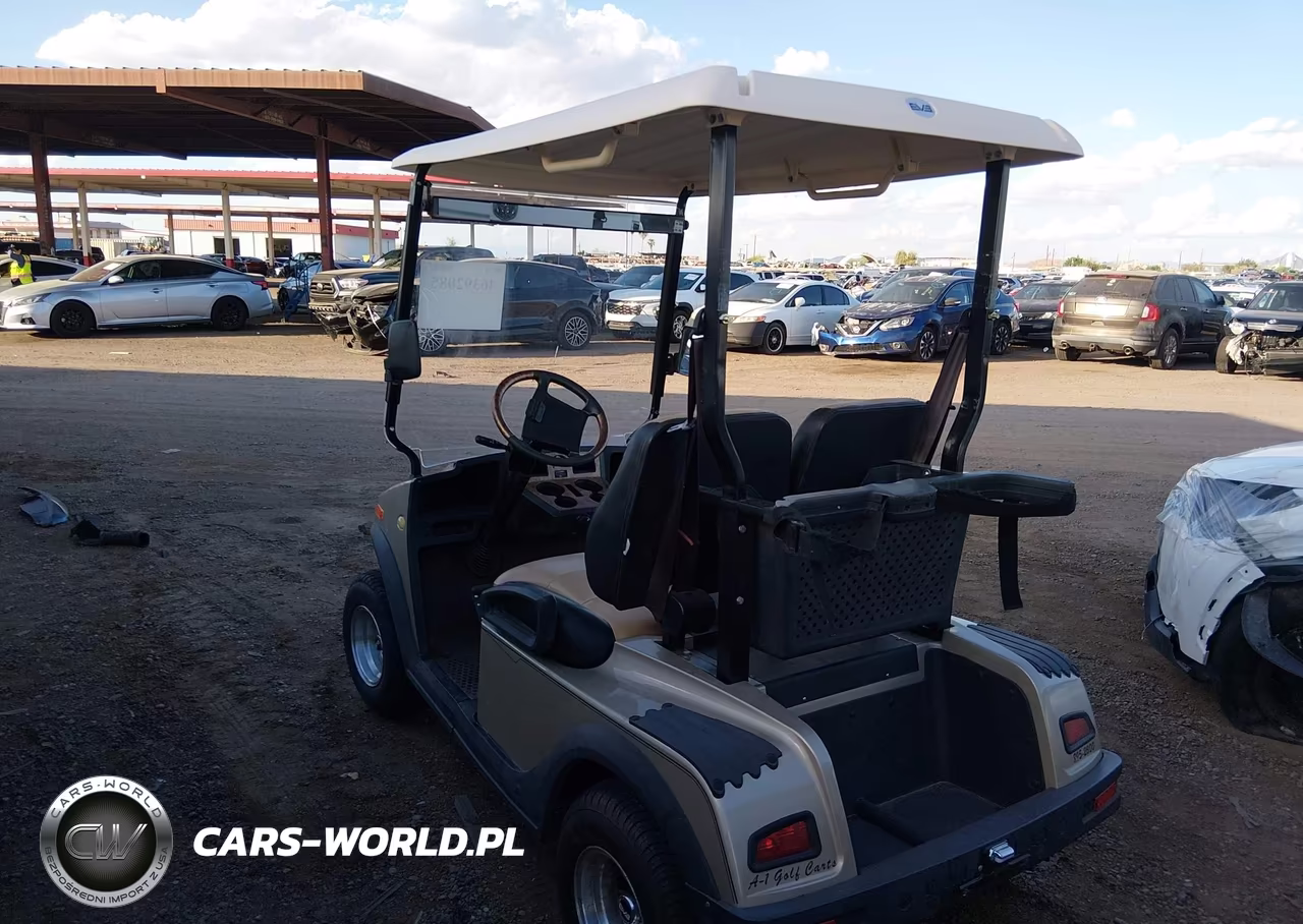 2010 Ac Golf Cart. Fairplay Model VIN:515LLD224A1001219 - 3