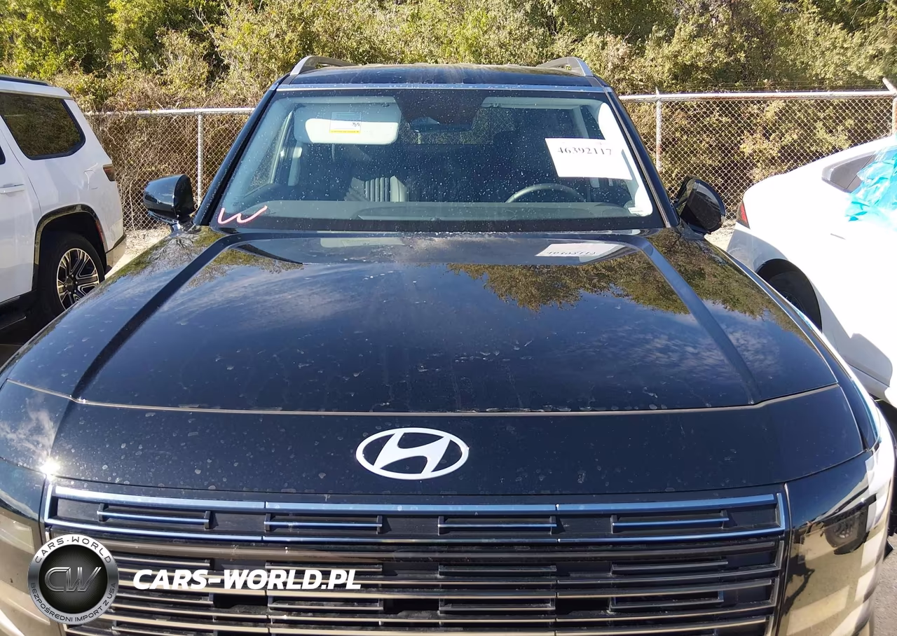 2026 Hyundai Palisade Sel 7P VIN:KM8RL5S29TU134346 - 12