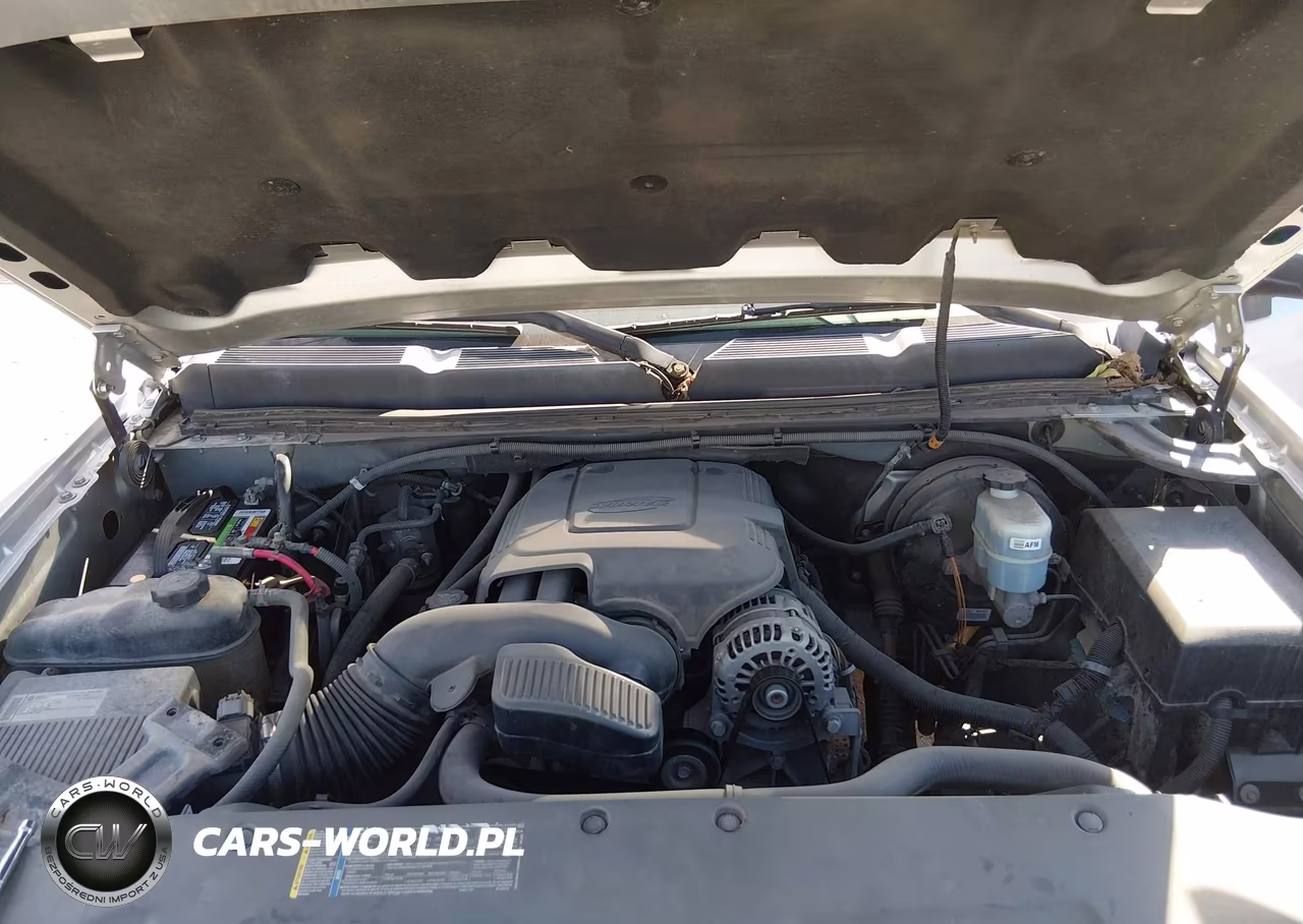 2010 Chevrolet Silverado 1500 Lt VIN:3GCRCSE09AG199971 - 10