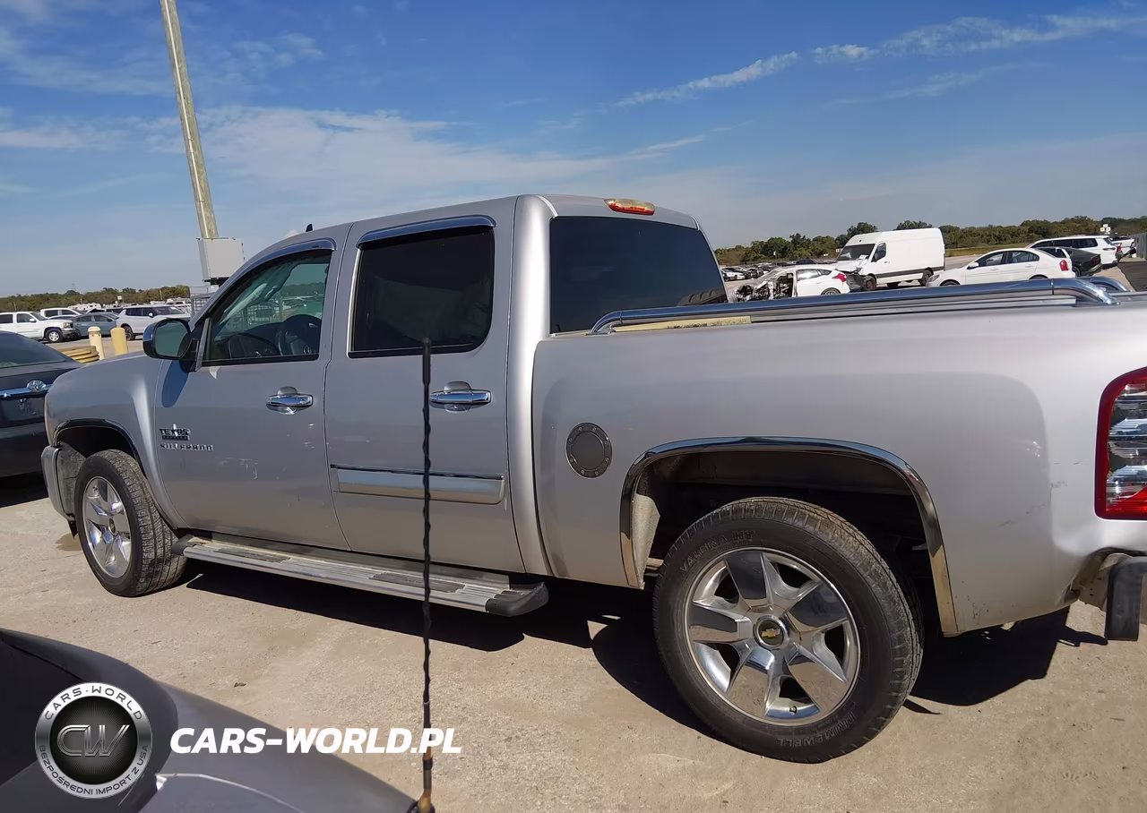 2010 Chevrolet Silverado 1500 Lt VIN:3GCRCSE09AG199971 - 14