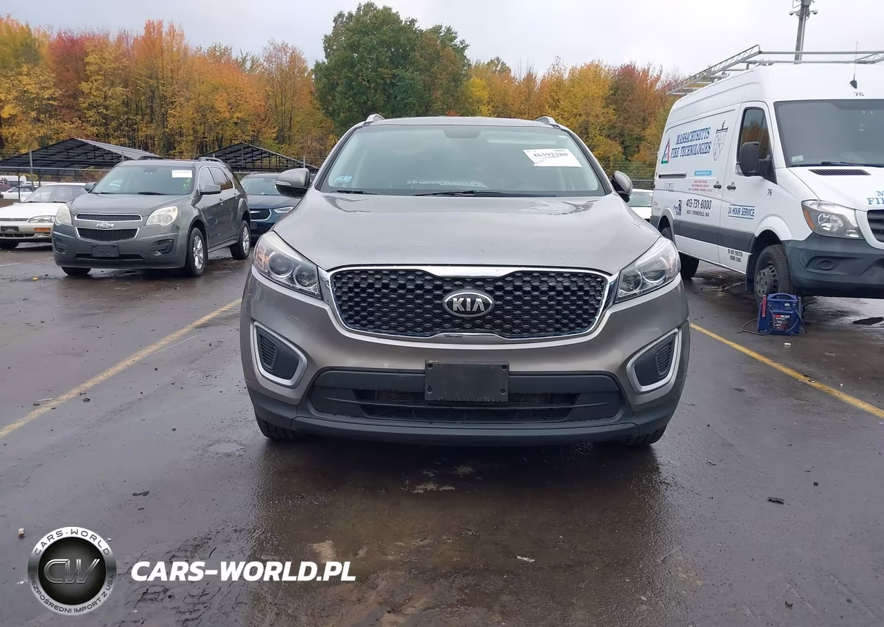 2018 Kia Sorento 2.4L Lx VIN:5XYPGDA39JG415632 - 12