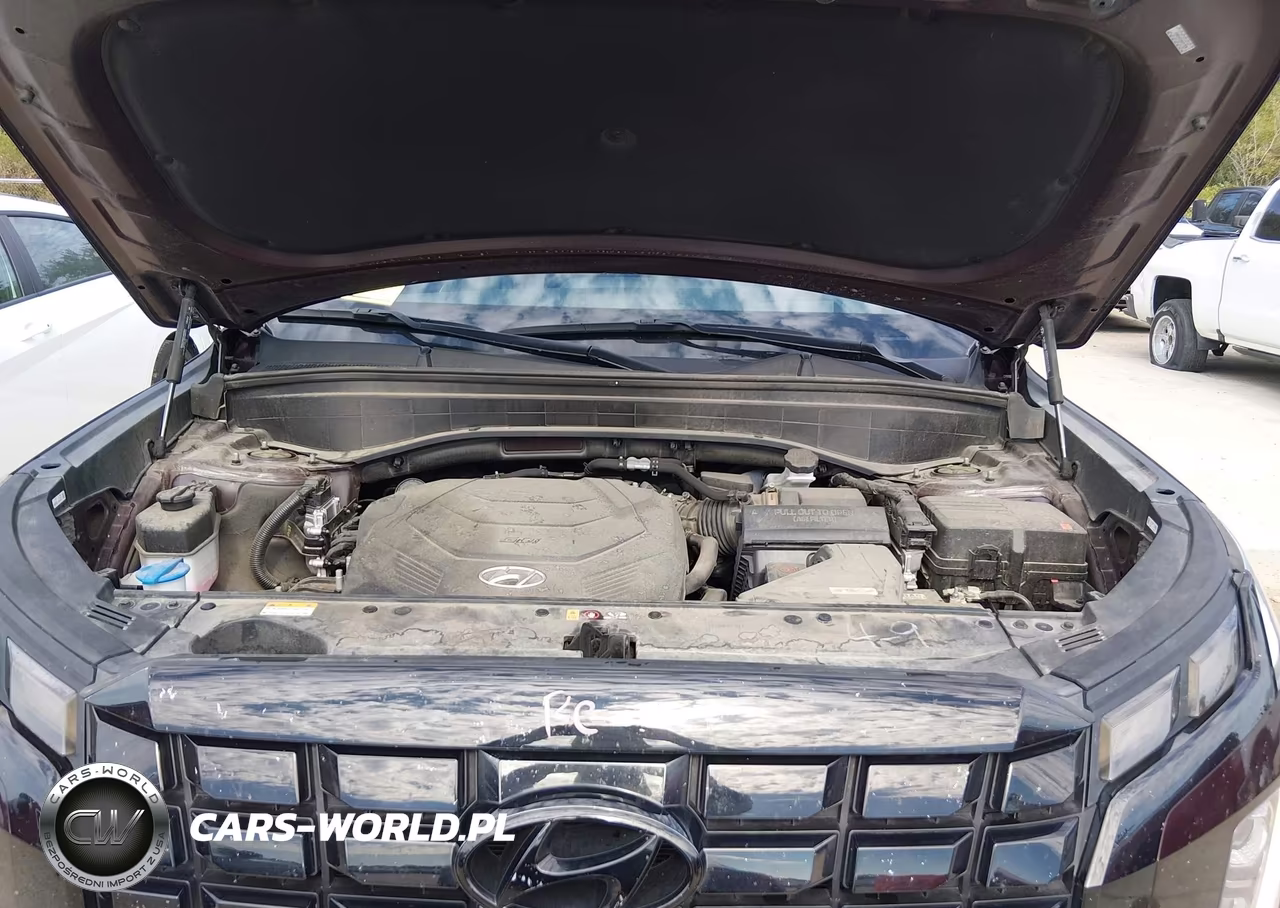 2024 Hyundai Palisade Limited VIN:KM8R54GE5RU717836 - 10