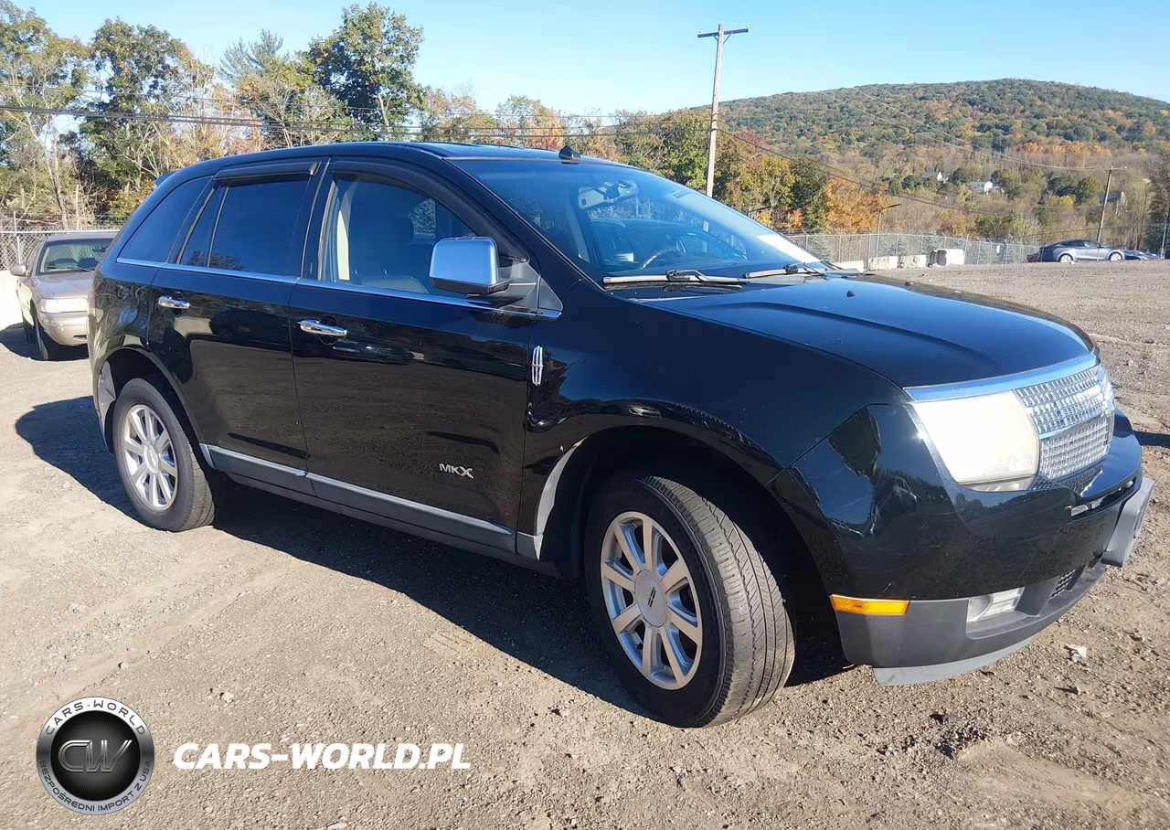 2009 Lincoln Mkx