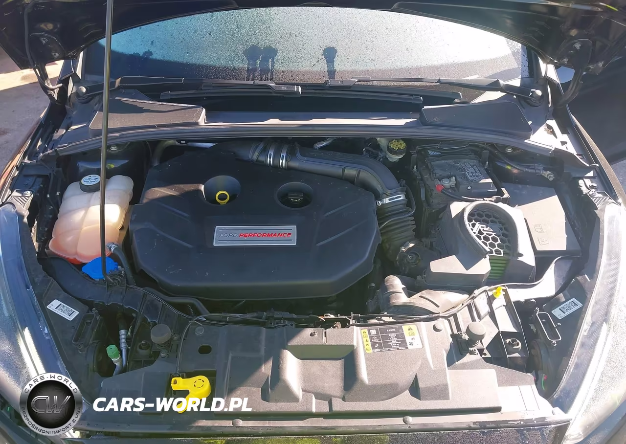 2017 Ford Focus Rs VIN:WF0DP3TH1H4121315 - 10