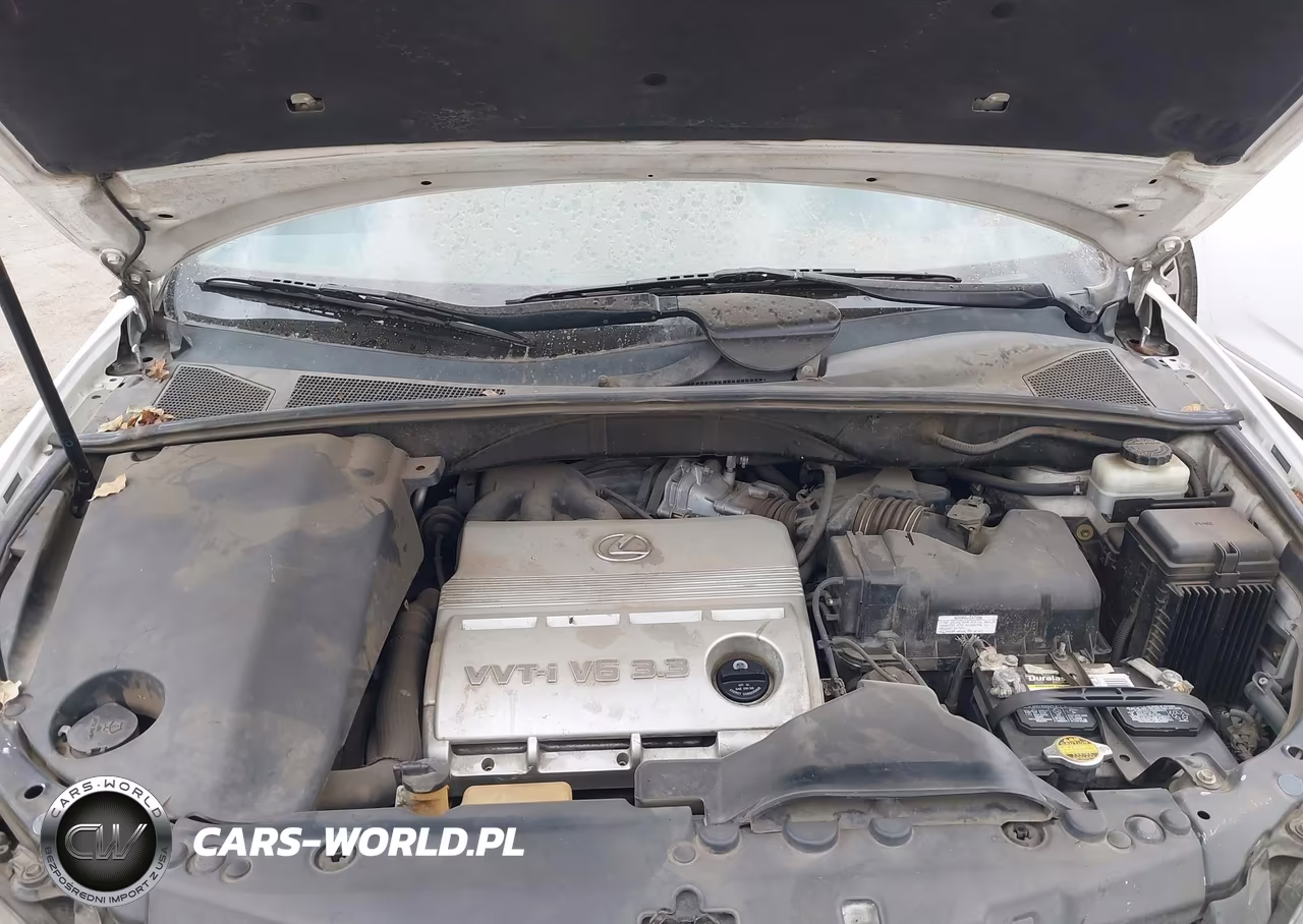 2006 Lexus Rx 330 VIN:2T2HA31U36C095005 - 10