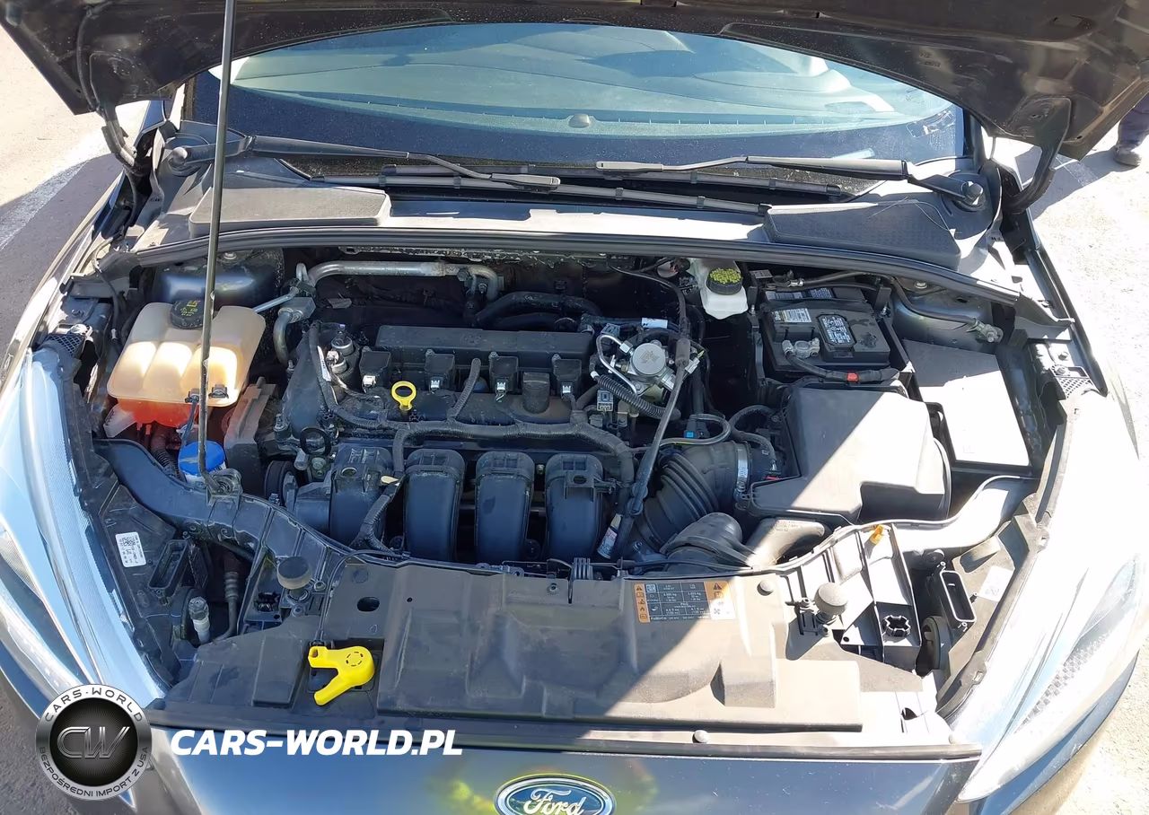 2018 Ford Focus Se VIN:1FADP3K21JL244789 - 10