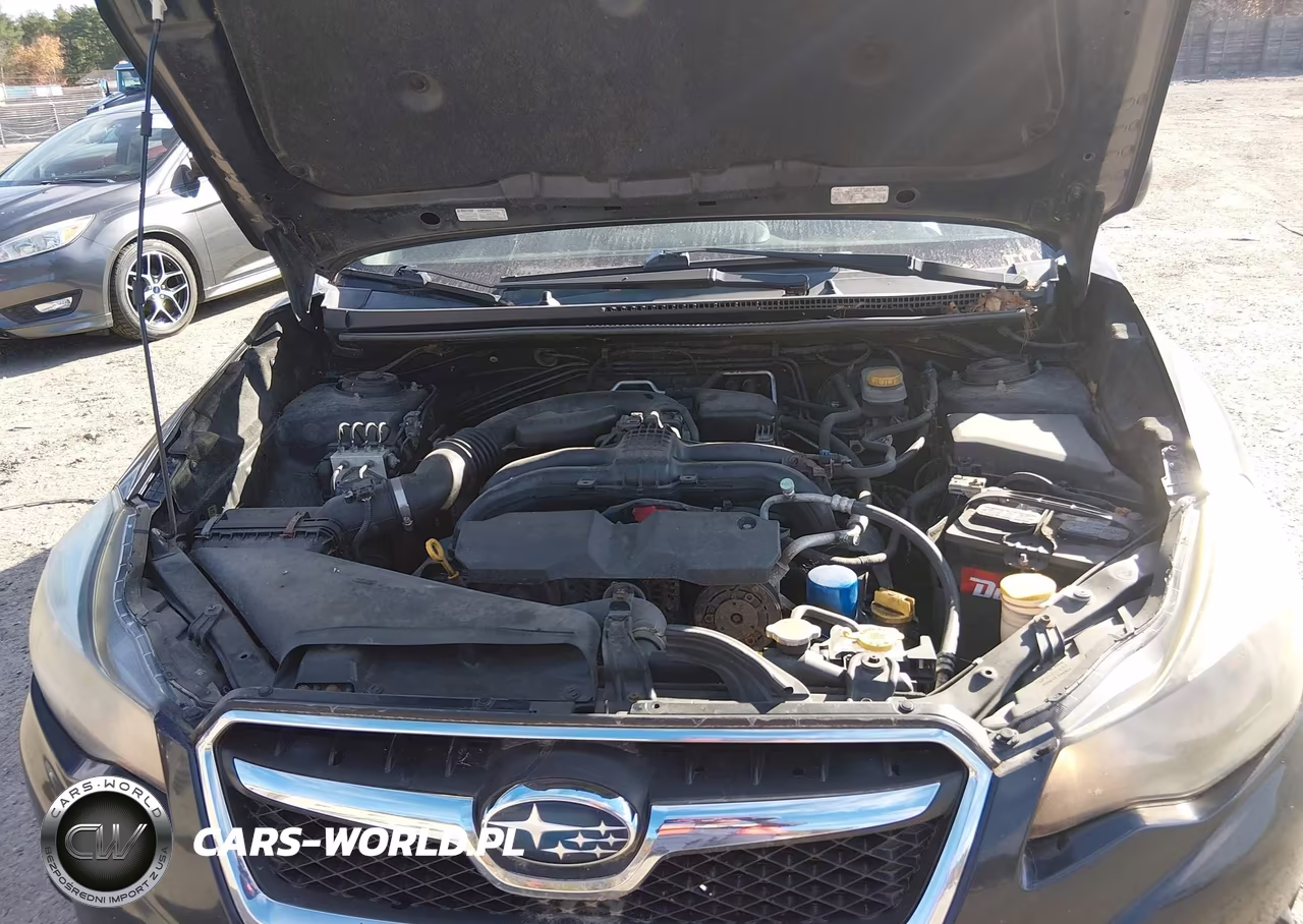 2014 Subaru Xv Crosstrek 2.0I Premium VIN:JF2GPACC8EG303937 - 10