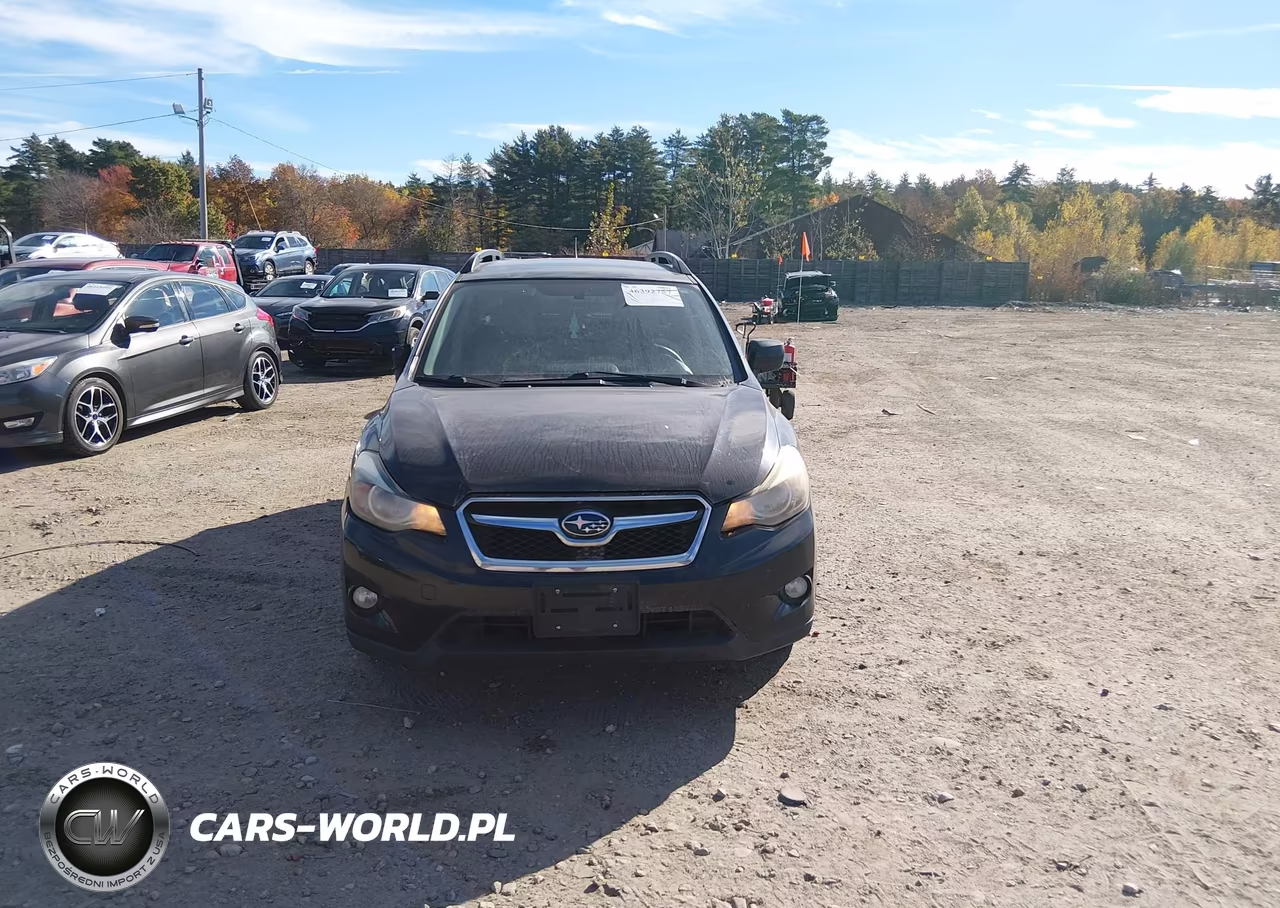 2014 Subaru Xv Crosstrek 2.0I Premium VIN:JF2GPACC8EG303937 - 12