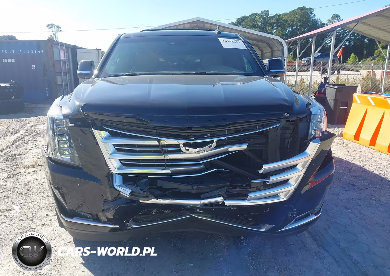 2019 Cadillac Escalade Platinum VIN:1GYS4DKJ8KR154720 - 12