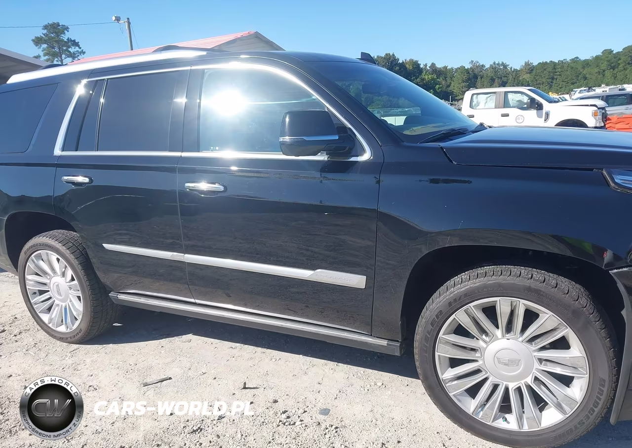 2019 Cadillac Escalade Platinum VIN:1GYS4DKJ8KR154720 - 13