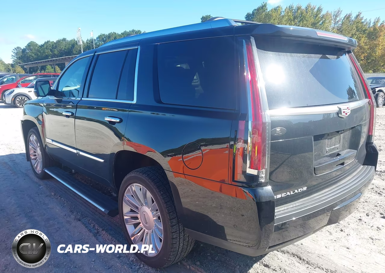 2019 Cadillac Escalade Platinum VIN:1GYS4DKJ8KR154720 - 3