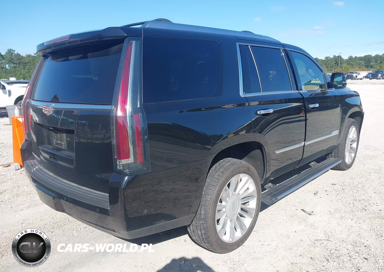 2019 Cadillac Escalade Platinum VIN:1GYS4DKJ8KR154720 - 4
