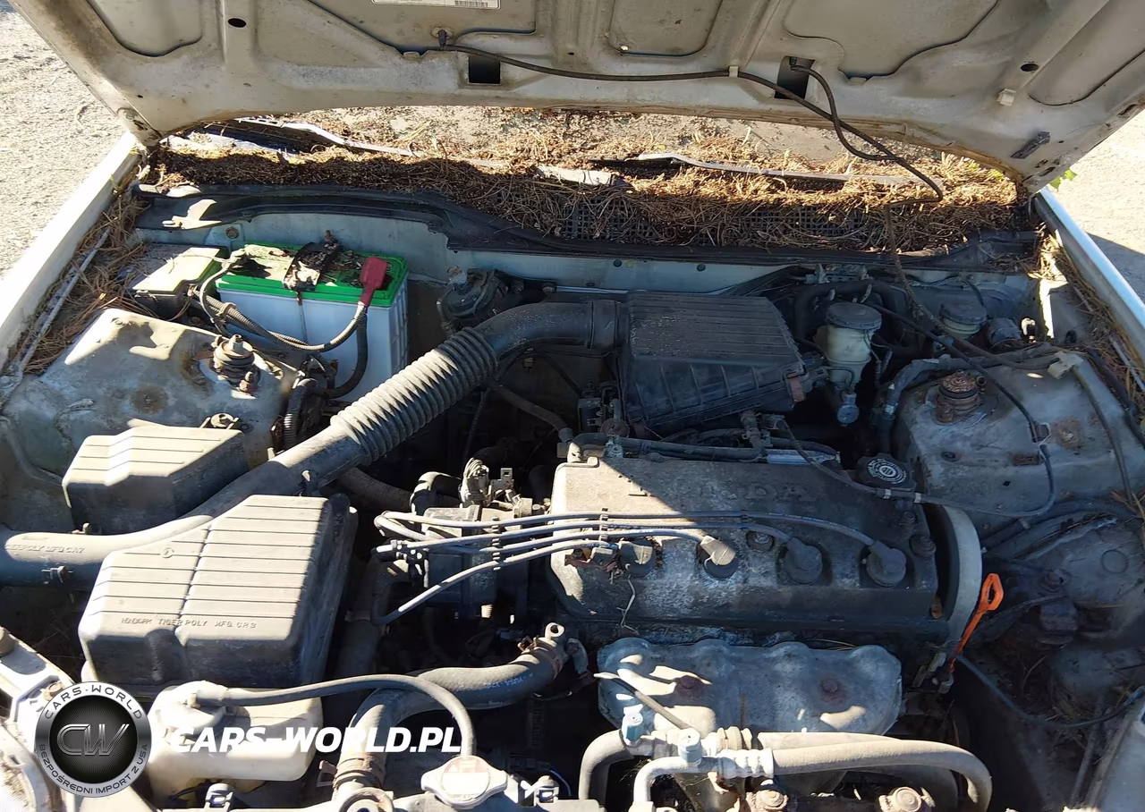 1997 Honda Civic Cx VIN:2HGEJ6324VH115742 - 10