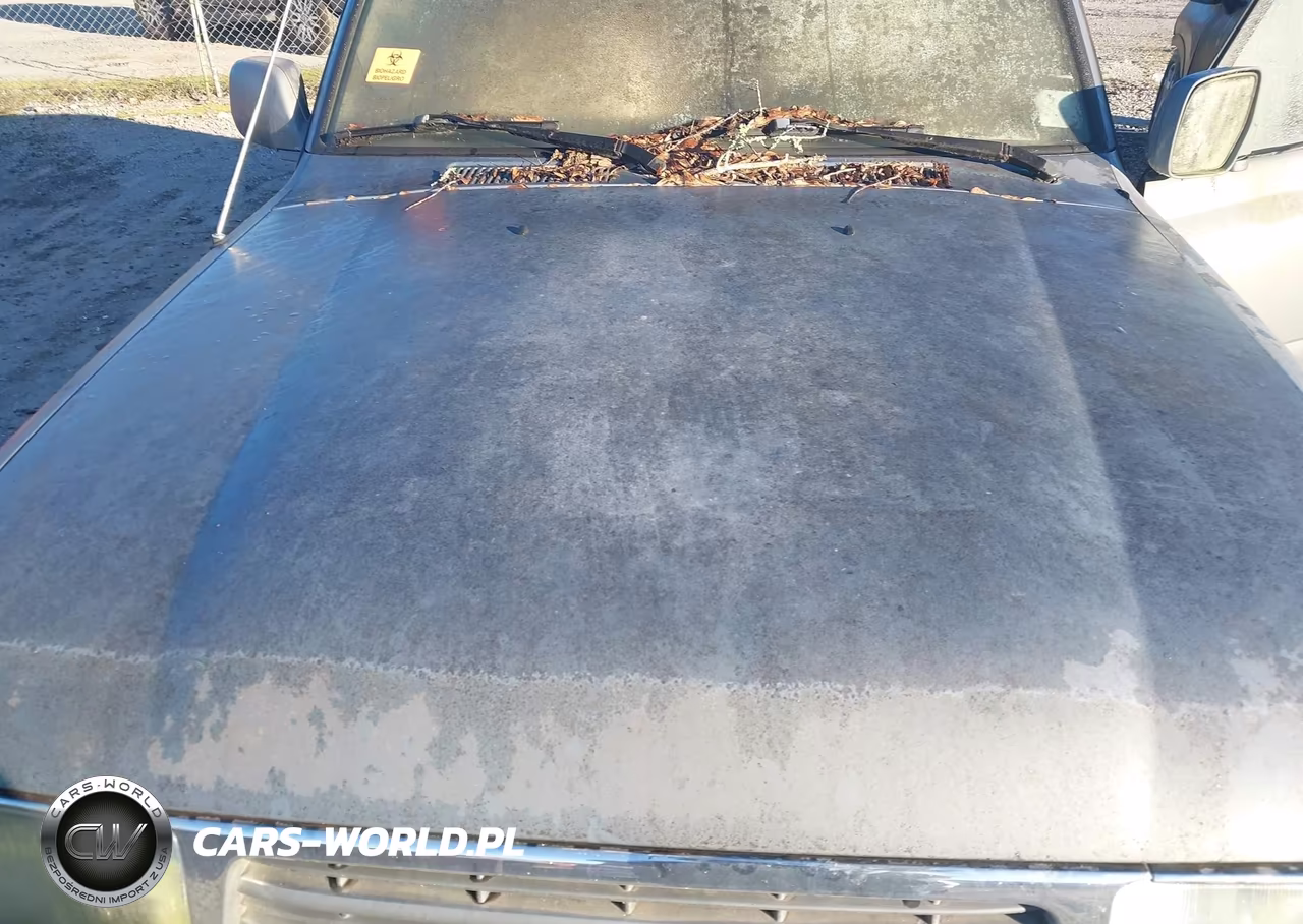 1996 Toyota Land Cruiser Hj85 VIN:JT3HJ85J9T0135017 - 10